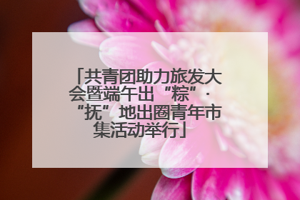 共青团助力旅发大会暨端午出“粽”·“抚”地出圈青年市集活动举行